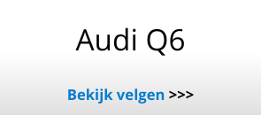 Audi Q6 SQ6 