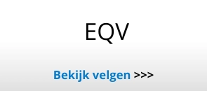 Velgen Mercedes EQV
