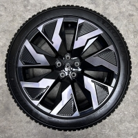 20 inch originele velgen + alle season banden Renault Rafale 403005760R