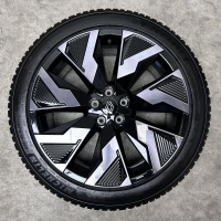 20 inch originele velgen + alle season banden Renault Rafale 403005760R