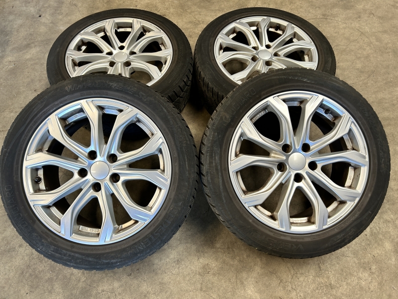 17 inch  velgen + winterbanden Audi A4 / A6