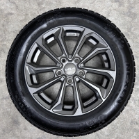 16 inch originele velgen + winterbanden Kia (E) NIRO set 2