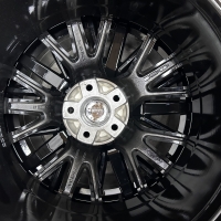 20 inch performance velgen + zomerbanden Audi Q5